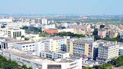 冬至陽生，春歸有期丨靈科超聲波與您共迎歲末暖陽